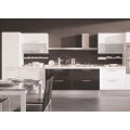 Glossy Kitchen Cabinet Doors mit Malerei (maßgeschneidert)